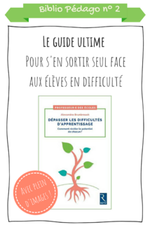 Réponses aux 36 questions des maîtres E débutants